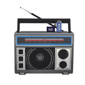 buy-rechargeable-radio-pen-drive-sd-card-fm-sri-lanka-trontronics-lk