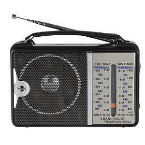 buy-den-b-fm-radio-sri-lanka