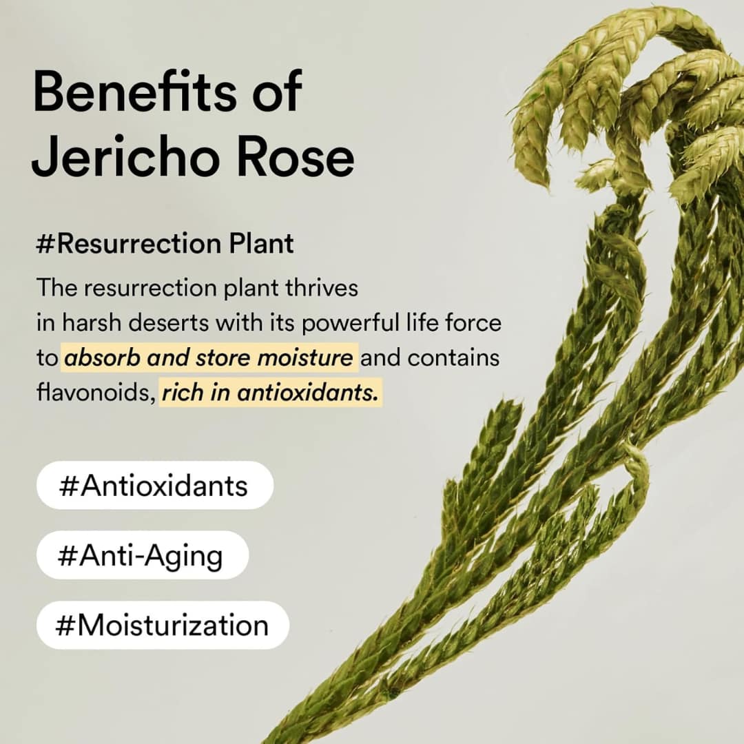 Abib Collagen Eye Cr??me Jericho Rose Tube 30ml - Image 7