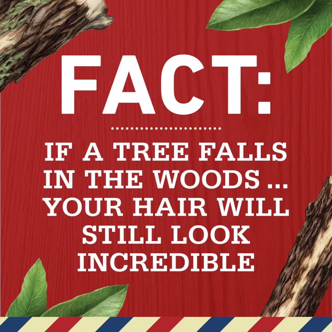 Old Spice Timber with Sandalwood 2in1 Shampoo and Conditioner for Men 400ml - Image 5