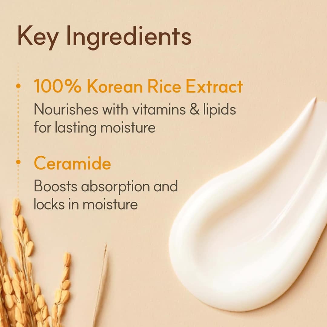 The Face Shop Rice Ceramide Moisturizing Cream 50ml